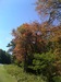 Shenandoah National Park