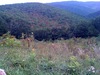 Shenandoah National Park